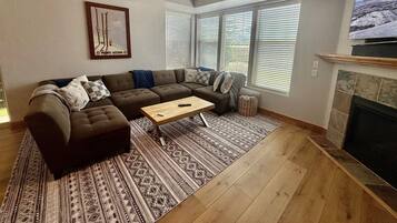 Smart TV, fireplace, books