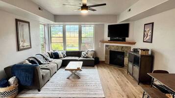 Smart TV, fireplace, books