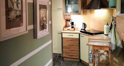 Viadanteunovigevano - 200 meters from Piazza Ducale