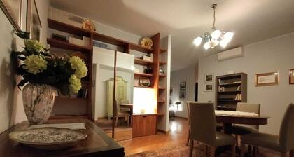 Viadanteunovigevano - 200 meters from Piazza Ducale