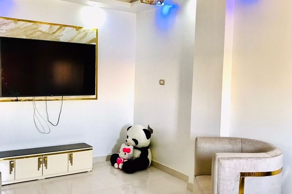 Smart-TV, Kamin