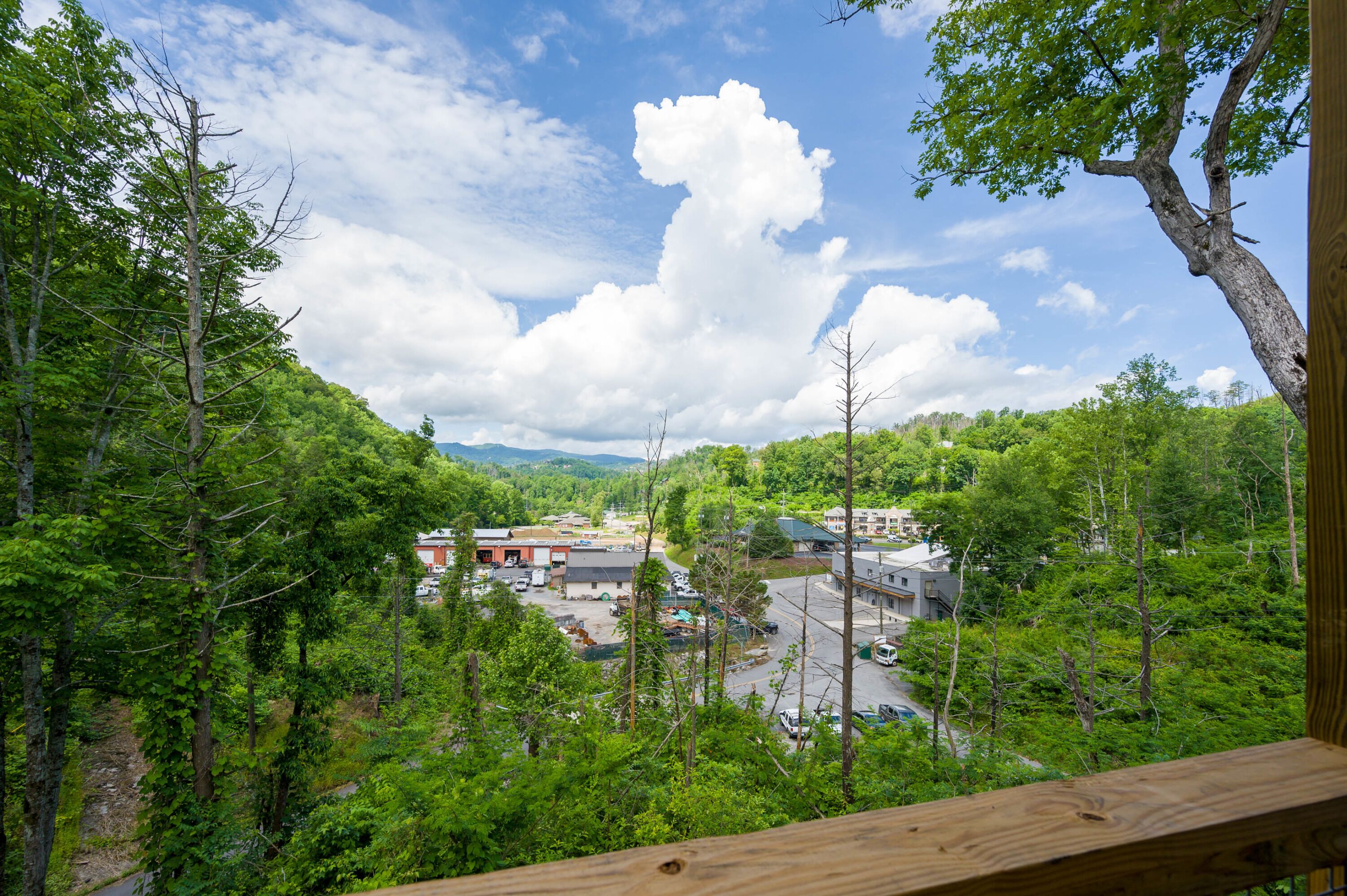 Blick auf einen Parkplatz, umgeben von dichtem Wald, mit blauem Himmel.