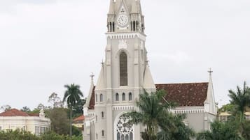 إطلالة على الشارع من المنشأة