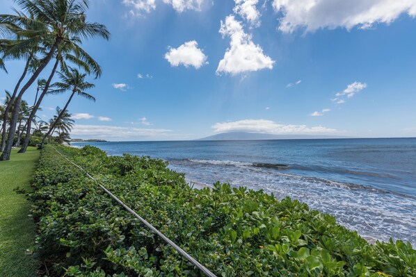 Paesaggio costiero con cielo sereno, palme e vista sull'oceano.