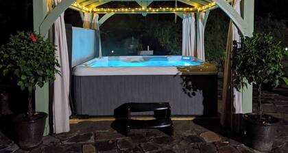 Adirondack Artist Retreat -spacious 5 bedroom w/ 9 person hot tub and more!