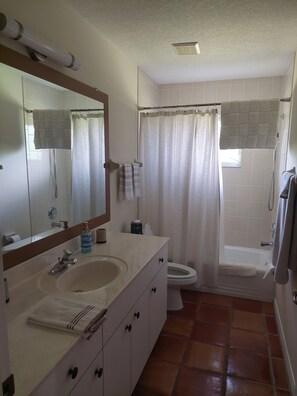 Ducha, secador de pelo, toallas, jabón