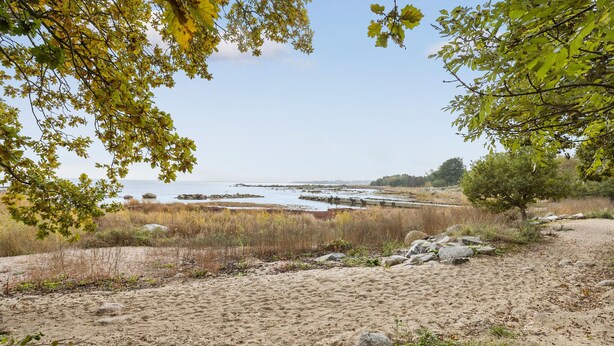 Ein sandiger Strand mit vereinzelter Vegetation und einem weiten Blick auf das Meer.