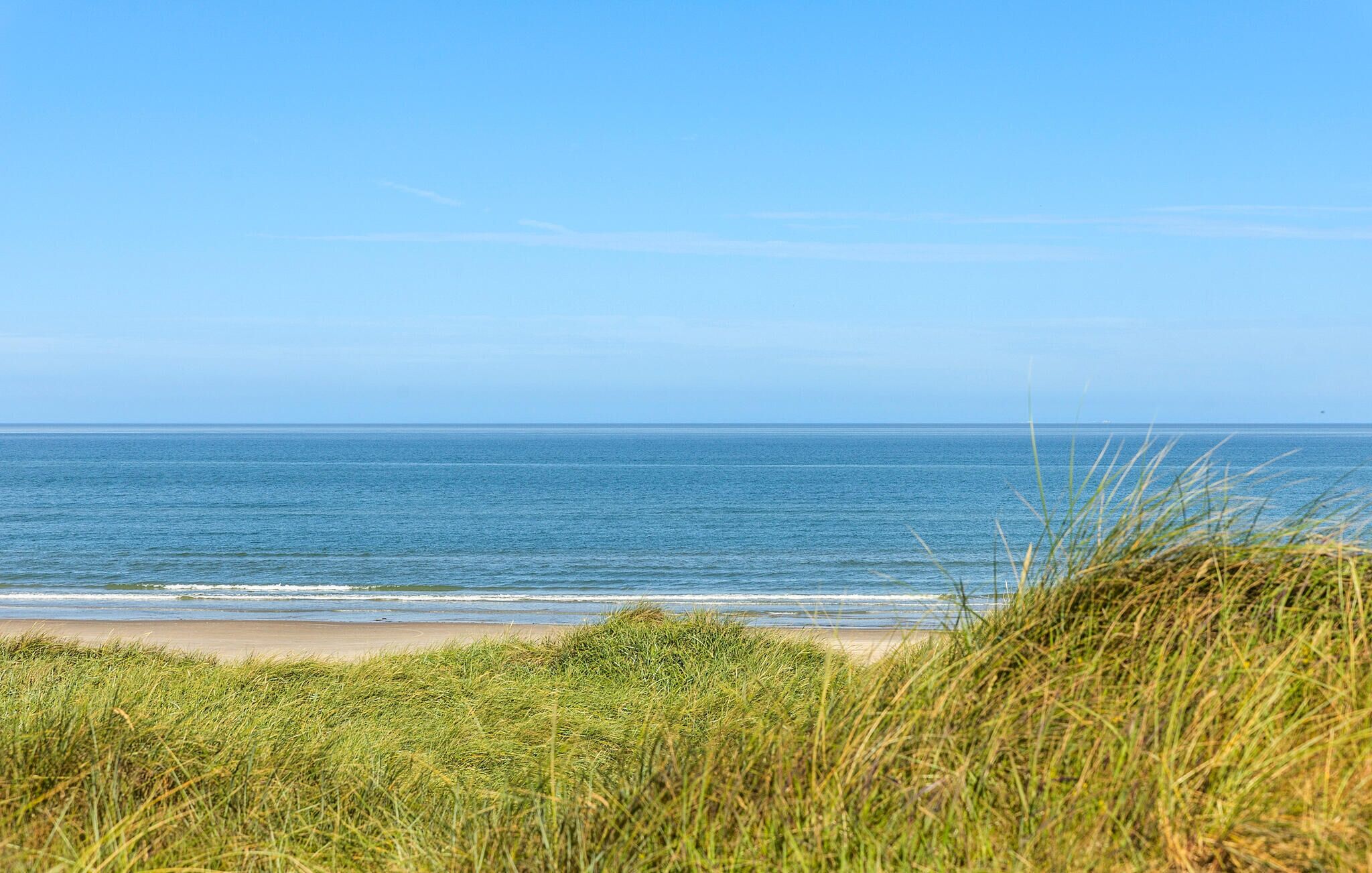 Une plage avec un ciel dégagé et une mer calme.