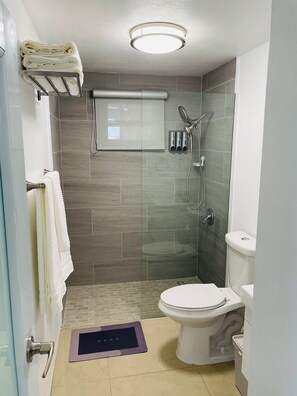 Hair dryer, towels, soap, toilet paper