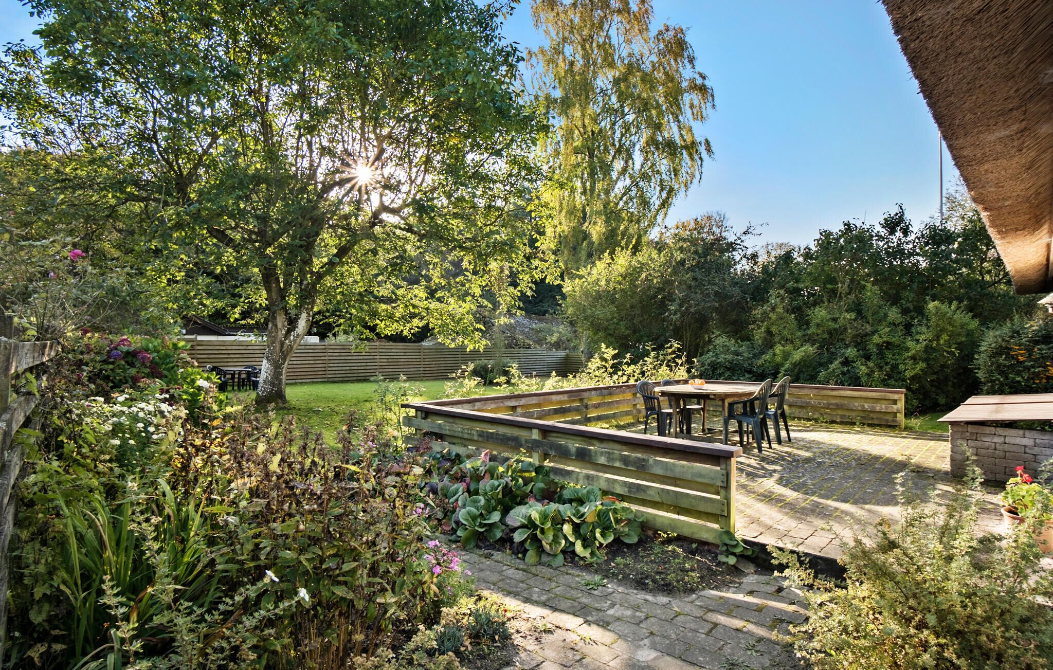 A garden patio with a wooden table and chairs, surrounded by lush greenery and a variety of plants.