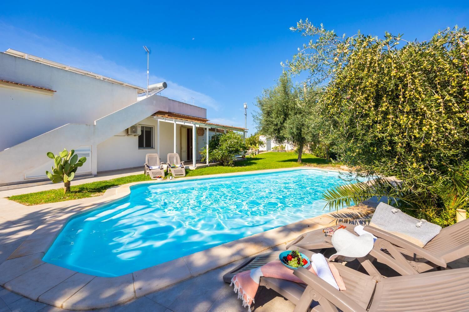 A swimming pool with lounge chairs and a small cactus plant.