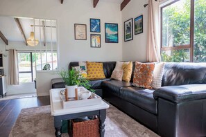 TV, fireplace, books