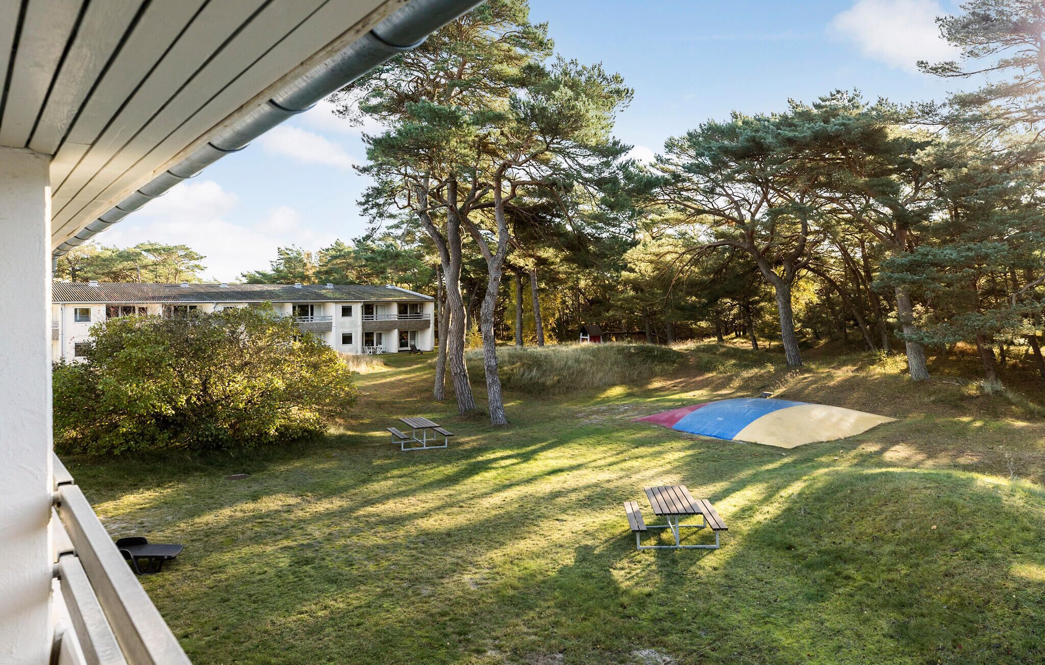 A grassy outdoor area with a picnic table, a small red structure, and a large tree.