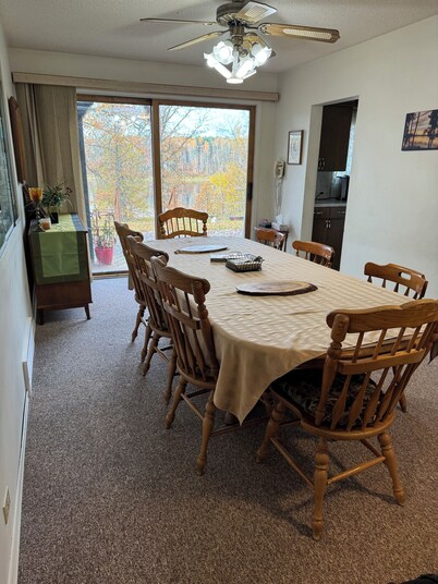 Cozy Home On The Rainy River, Ontario 
