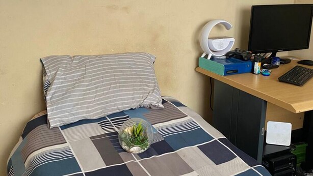 Una cama pequeña con un almohadón a rayas, un florero de vidrio con plantas verdes, un escritorio con una computadora, un monitor y un teclado.