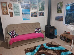 Télévision, cheminée, lecteur de DVD, livres