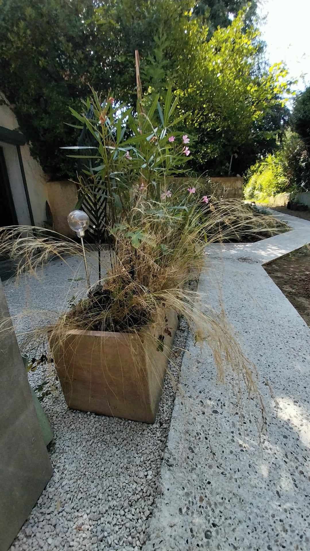 Un bac à fleurs en béton contenant une plante et un objet décoratif en verre.