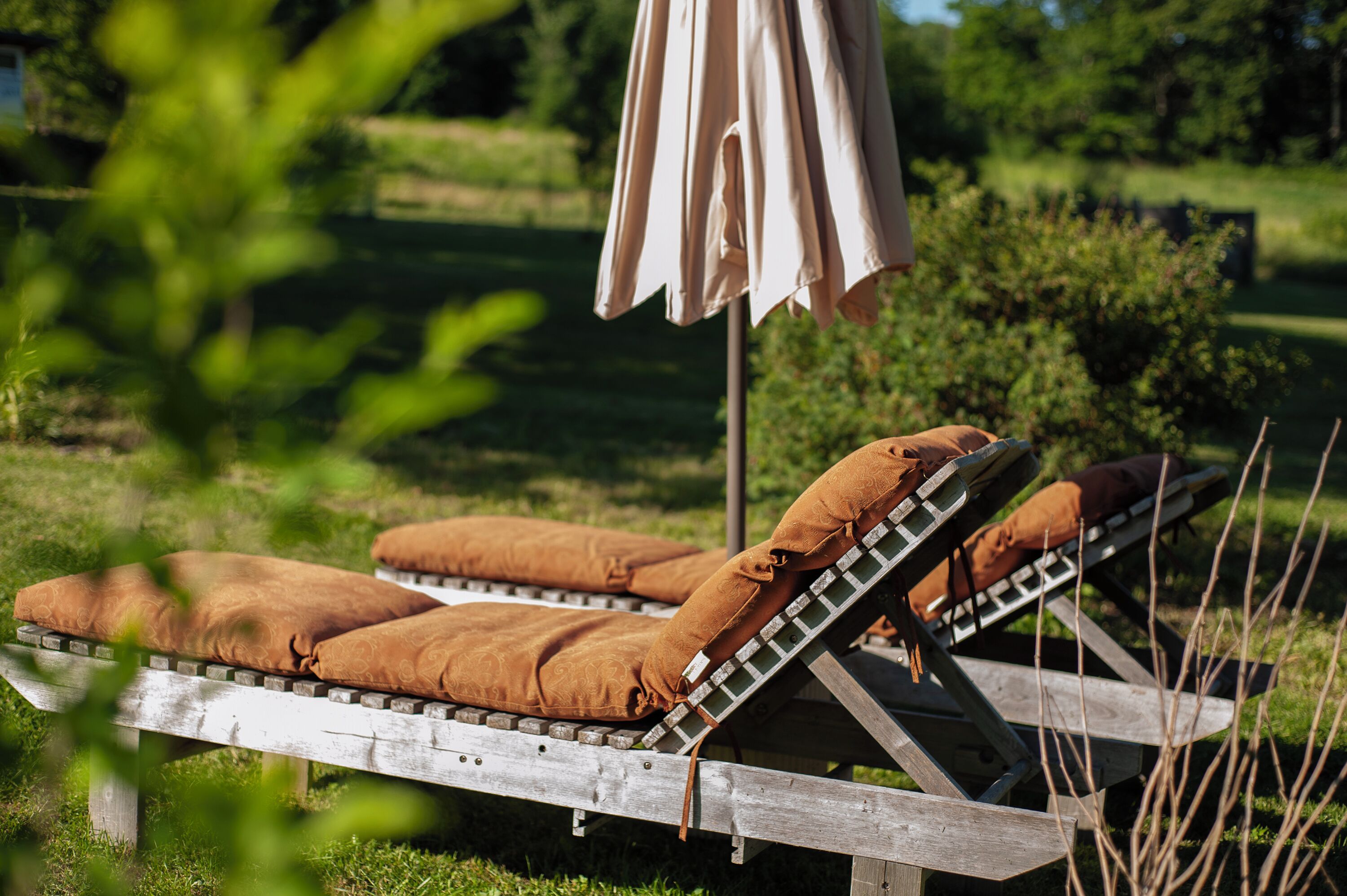 A wooden lounge chair with a cushion, set outdoors with a grassy area and trees in the background.