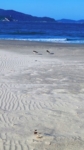 Little house in the back of Madruga's residence 