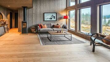 Televisor i llar de foc