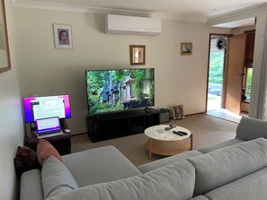 Fernseher