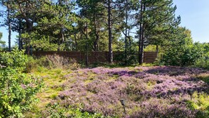Een natuurlijk landschap met een houten hek, dichte bomen en een veld paarse bloemen.