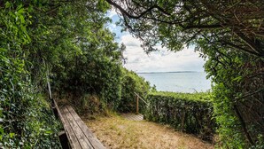 A wooden bench leading to a grassy area with dense foliage on both sides, overlooking a body of water. - 2 bedroom awesome home in Haarby (Haarby)