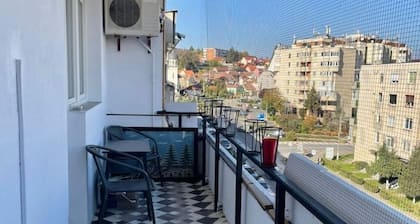 12 Apartment
