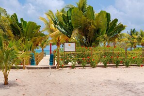 A beach with a sign reading "Hacienda Beach Belize," palm trees, and a wooden fence with red flowers.
