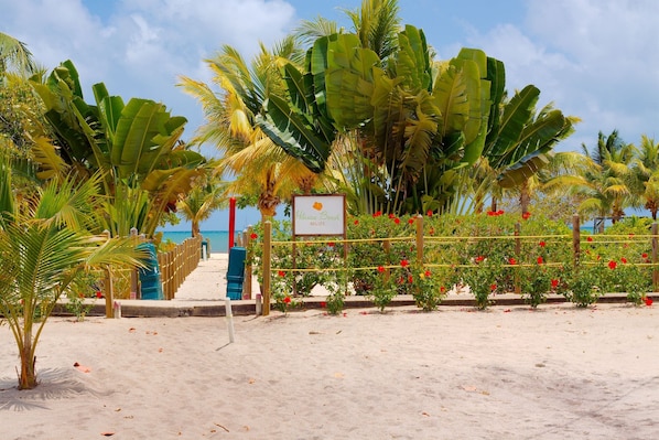 A beach with a sign reading "Hacienda Beach Belize," palm trees, and a wooden fence with red flowers.