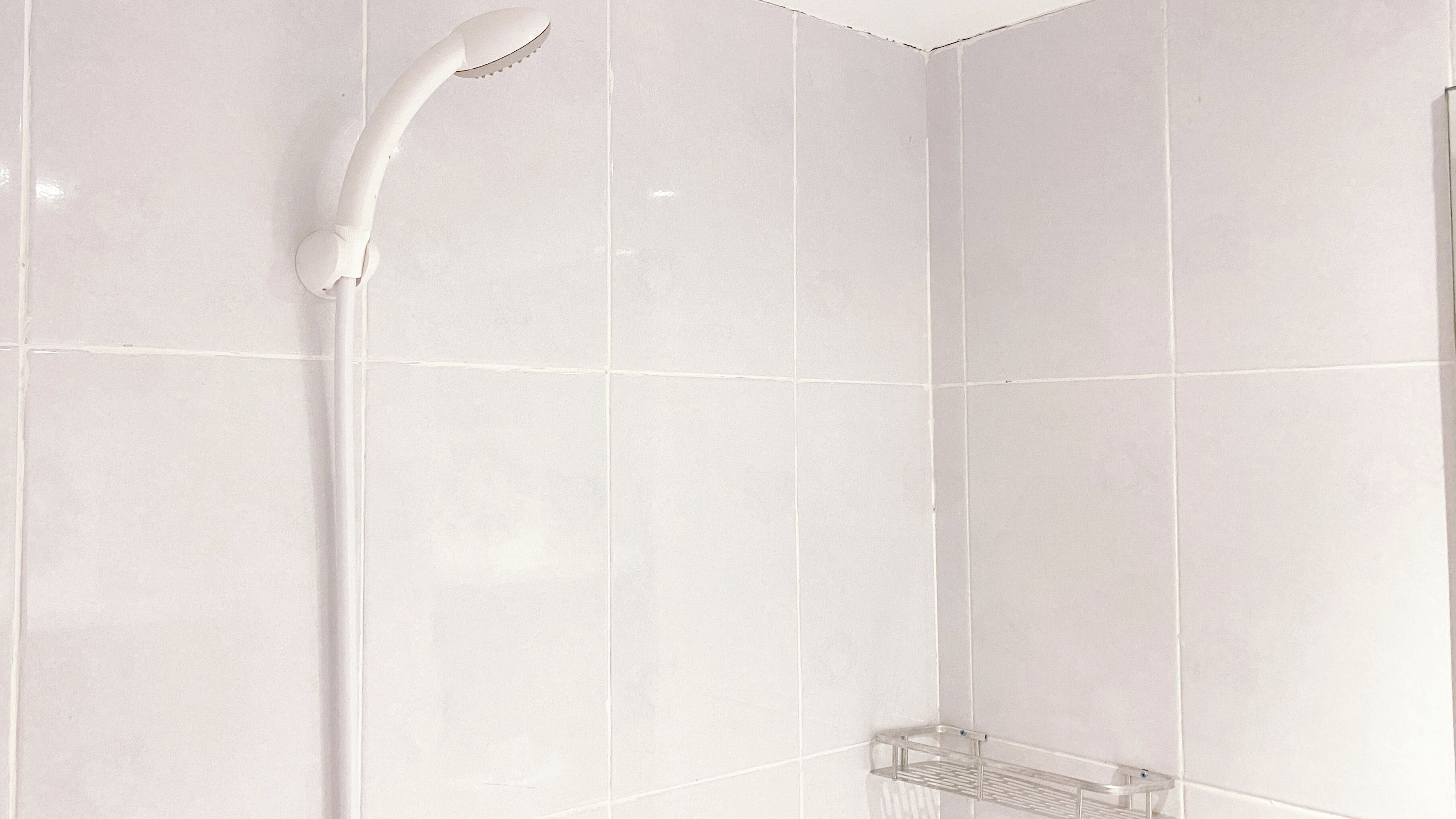 Un box de ducha revestido de azulejos blancos con ducha de mano.