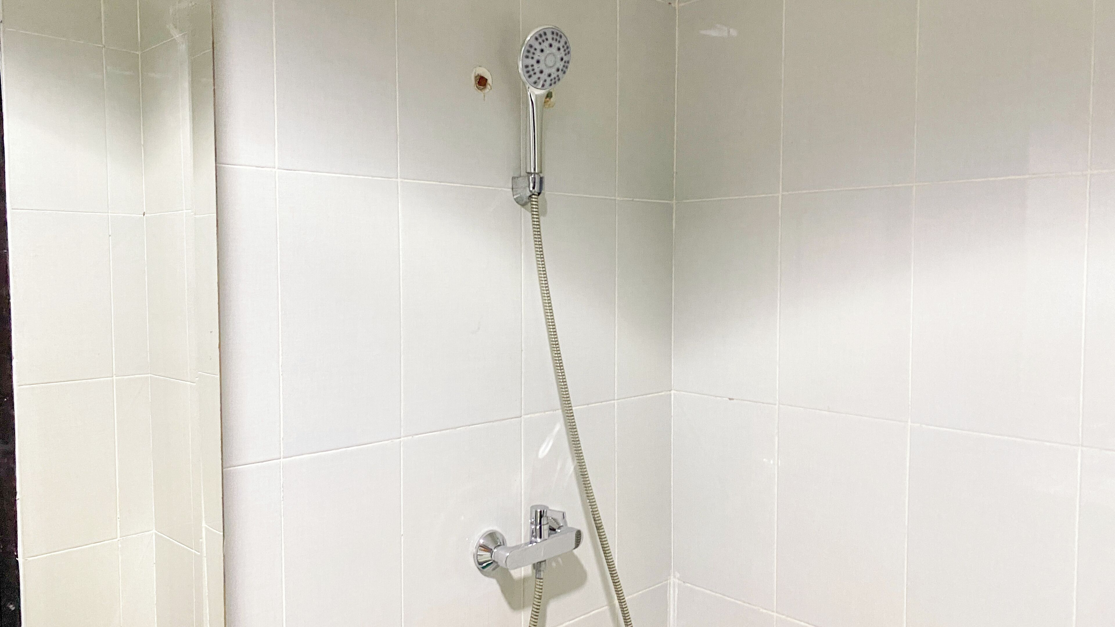 A shower with a handheld showerhead and a handheld hose.