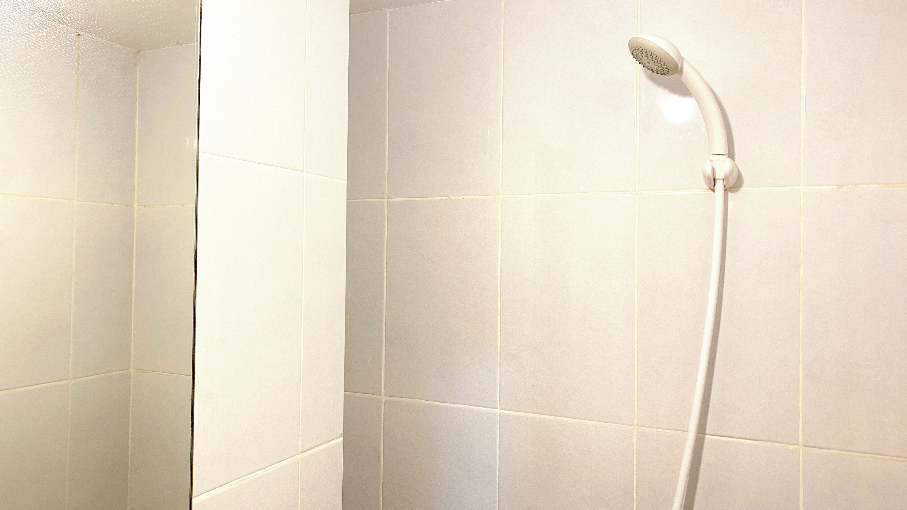Eine Dusche mit Duschbrause in einem gefliesten Badezimmer.