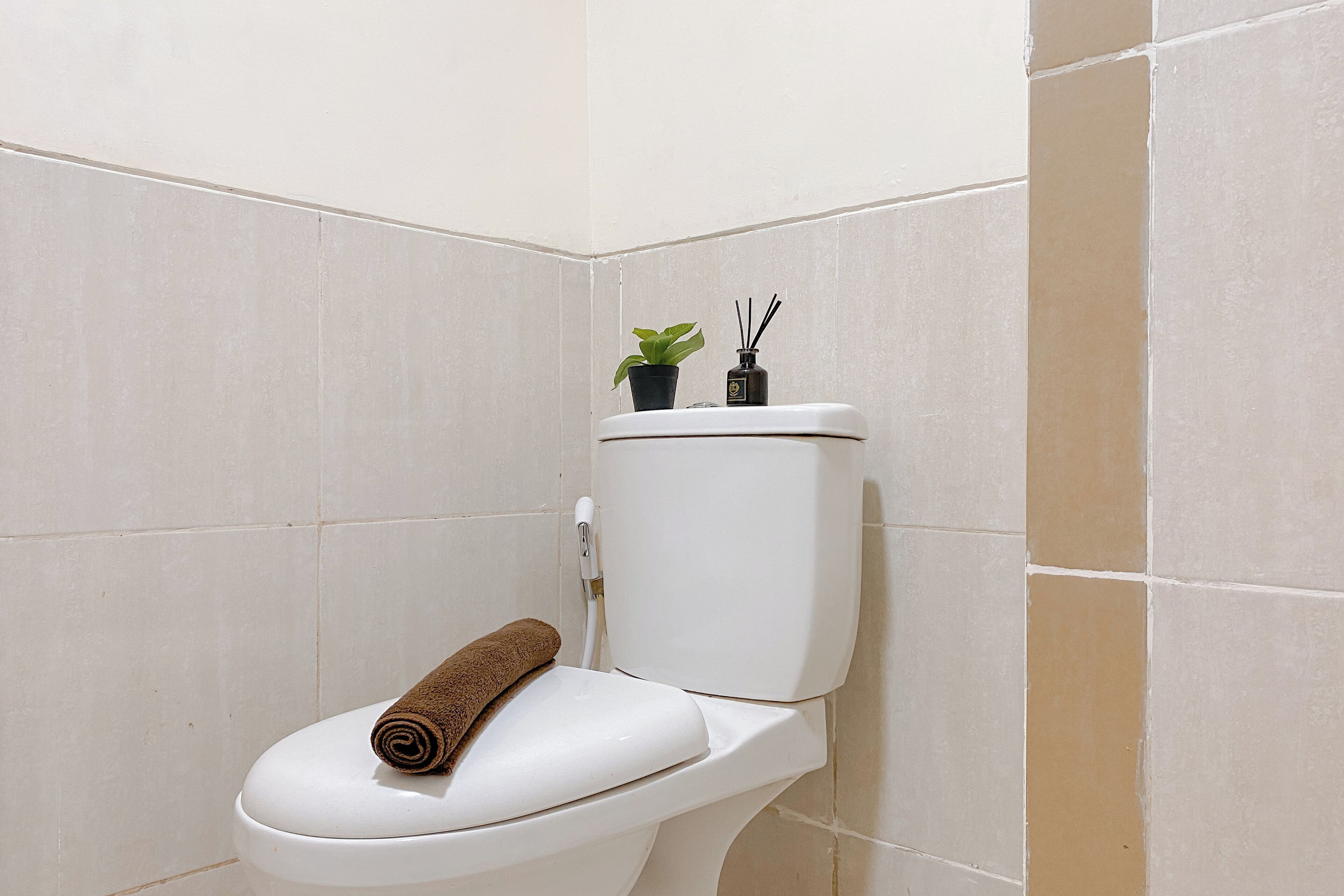 A toilet with a brown towel on the seat and a small potted plant on the tank.