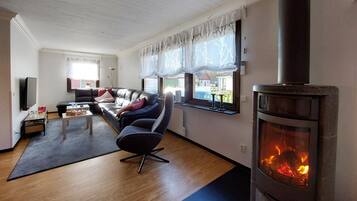 Smart-TV, Kamin