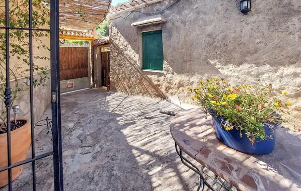 A narrow alleyway with a rustic building, a green door, and a potted plant with yellow flowers.