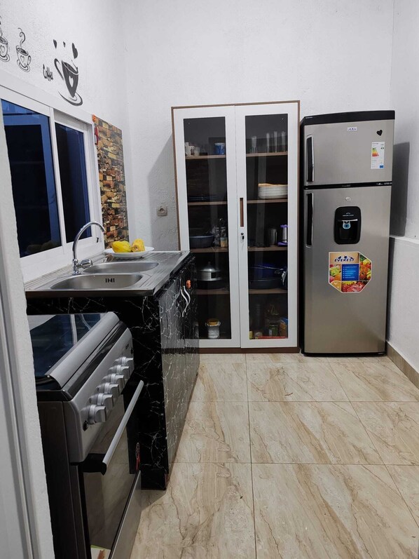 Fridge, oven, electric kettle, blender