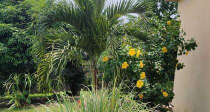 Maison de 2 chambres avec jardin et terrasse - location vacances Libreville