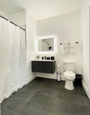 Shower, hair dryer, bidet, towels