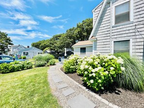 A residential area with houses, a paved pathway, and lush greenery.