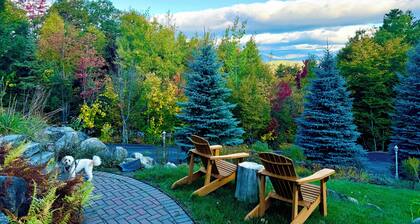 Charming 4-bedroom chalet in Conway with WiFi and AC