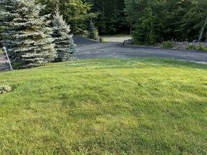 Property grounds - Charming 4-bedroom chalet in Conway with WiFi and AC (Conway)