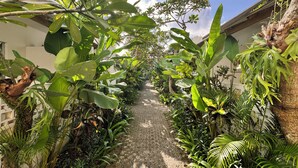 A pathway flanked by lush tropical plants leading to a building with a white exterior and a wooden roof. - Lubdhaka Canggu (Canggu)