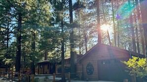 Eine Lodge mit Holzfassade, einer überdachten Veranda und freiem Blick auf den umliegenden Wald.