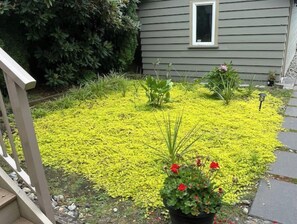 Property grounds - ✨ Renovated Garden Suite Near UBC, FIFA, Down Town, Airport & Beaches (Vancouver)