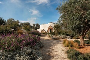 Exterior - Villa Olivida - Luxury Villa with private pool (Ostuni)