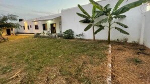 A building with a white exterior, a small garden area with grass and a banana tree, and a bench.