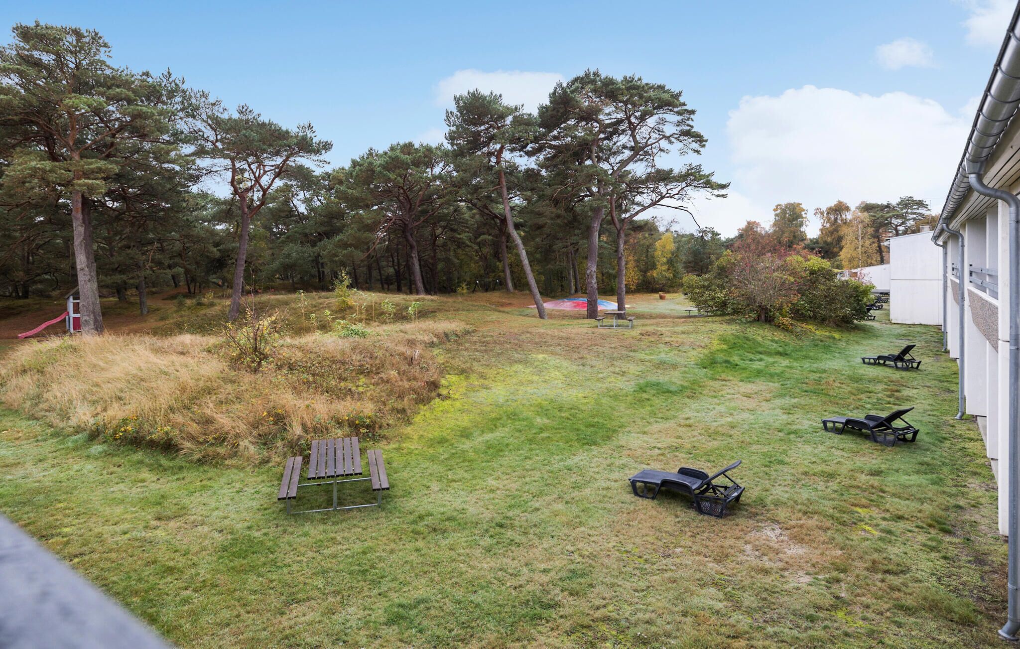 A grassy outdoor area with picnic tables, a playground, and trees.