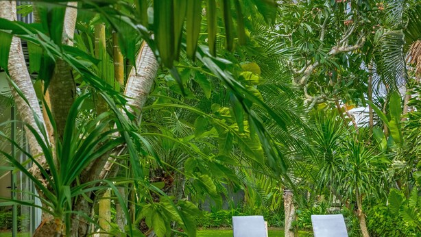 A pool area with two lounge chairs and lush tropical plants. - Veronica Villa by Betterplace (Canggu)