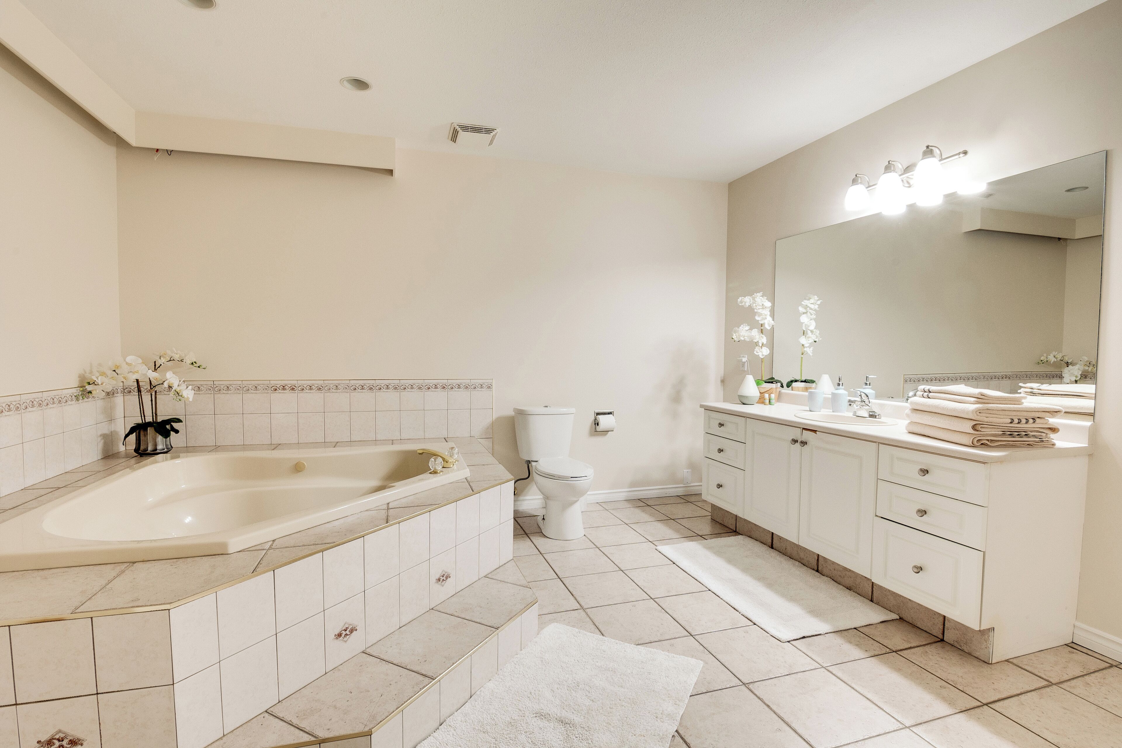 Hair dryer, towels, soap, toilet paper